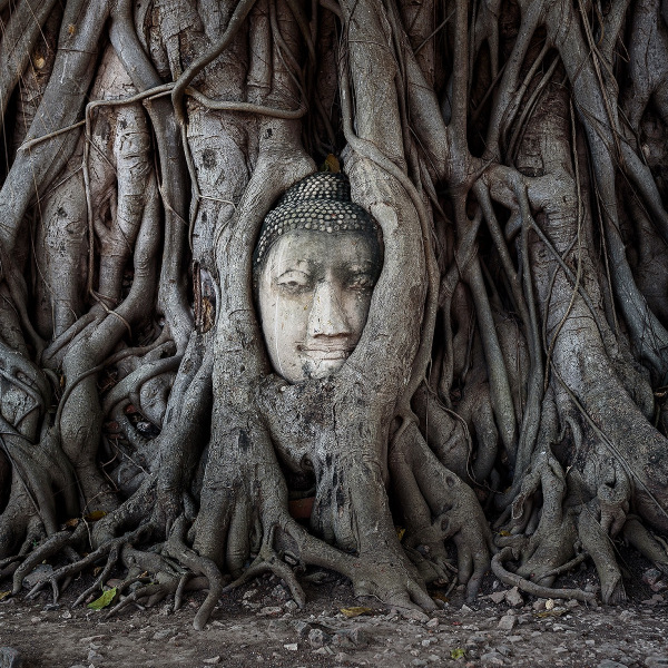thailand 2630779 192011