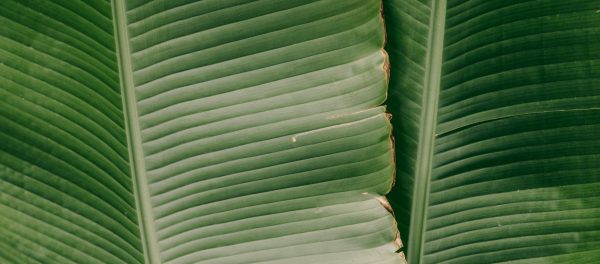 latest-post-43687